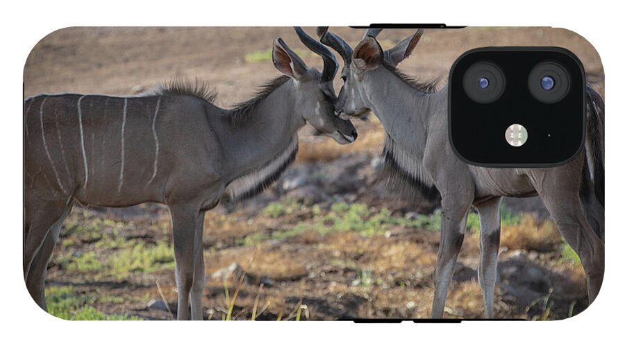 Love You, Too - Phone Case