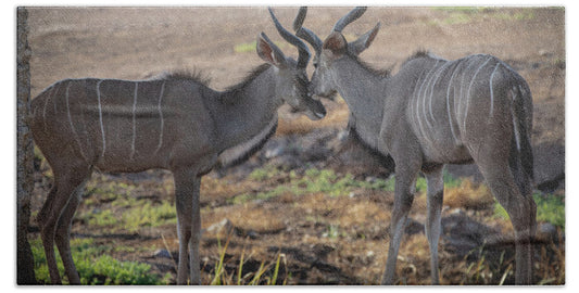 Love You, Too - Bath Towel