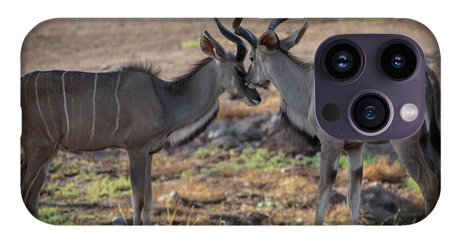 Love You, Too - Phone Case