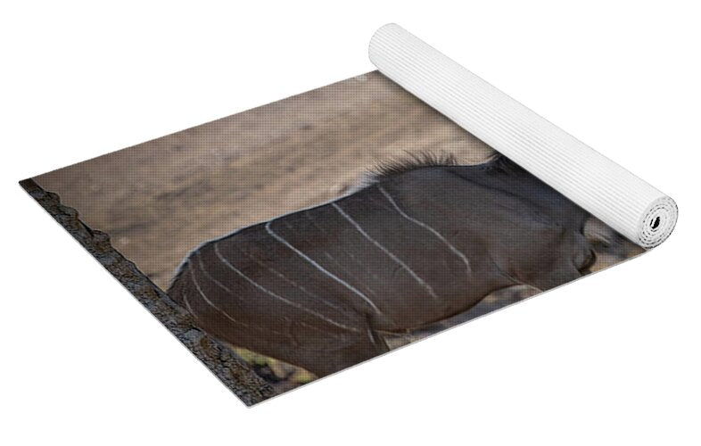 Love You, Too - Yoga Mat