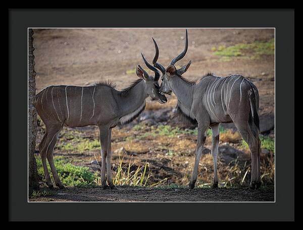 Love You, Too - Framed Print