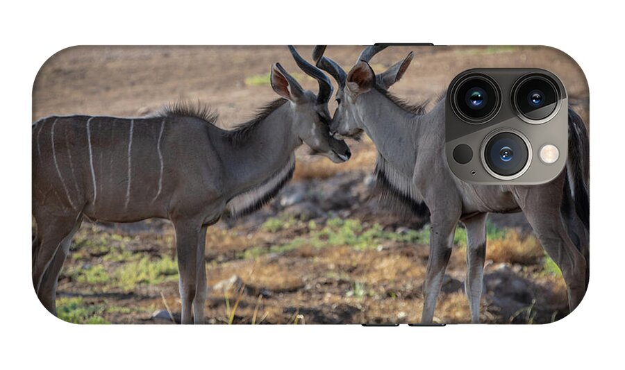 Love You, Too - Phone Case