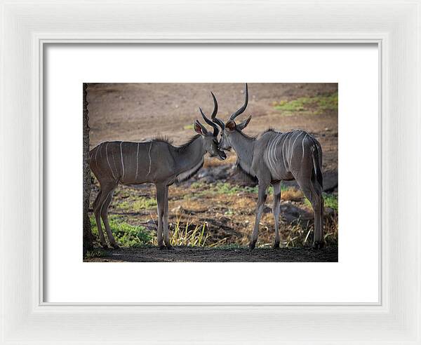 Love You, Too - Framed Print