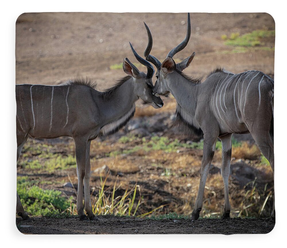 Love You, Too - Blanket