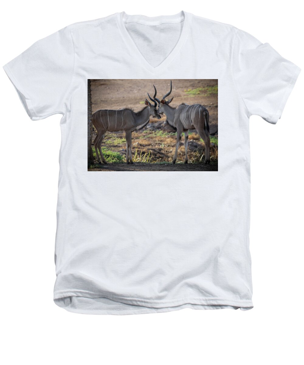 Love You, Too - Men's V-Neck T-Shirt