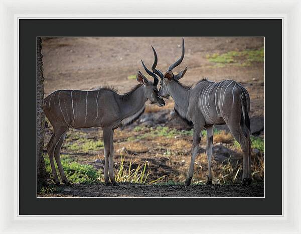 Love You, Too - Framed Print