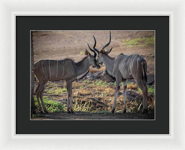 Love You, Too - Framed Print