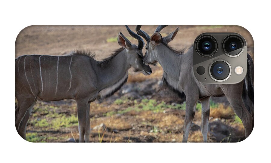 Love You, Too - Phone Case