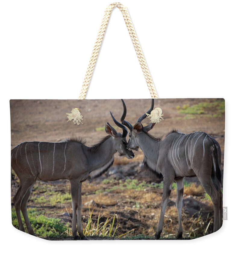 Love You, Too - Weekender Tote Bag