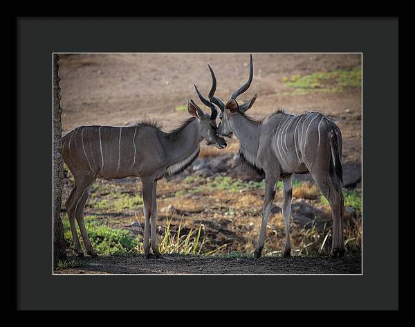 Love You, Too - Framed Print