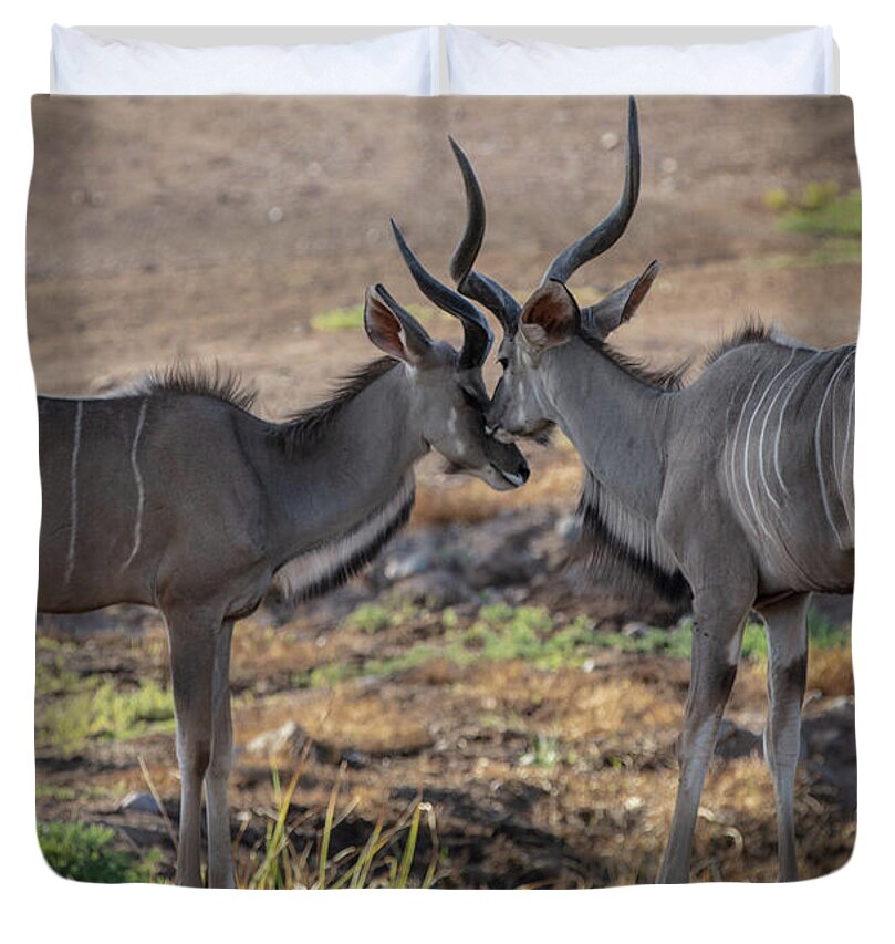 Love You, Too - Duvet Cover