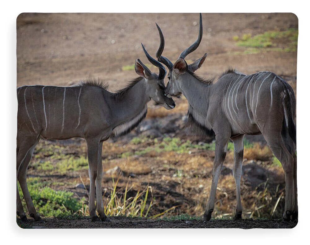 Love You, Too - Blanket