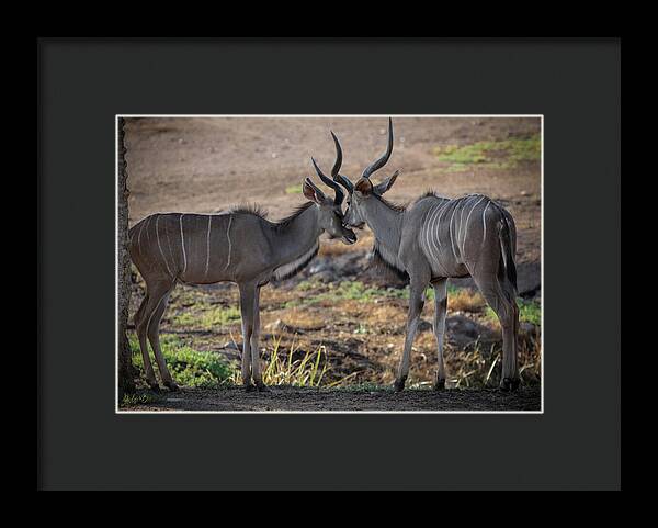 Love You, Too - Framed Print