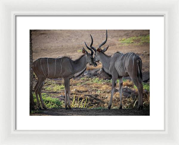 Love You, Too - Framed Print