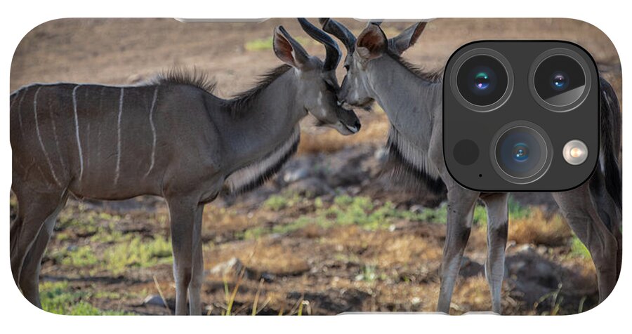 Love You, Too - Phone Case