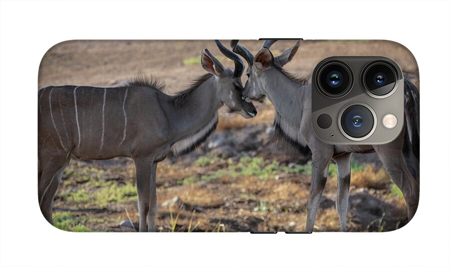 Love You, Too - Phone Case