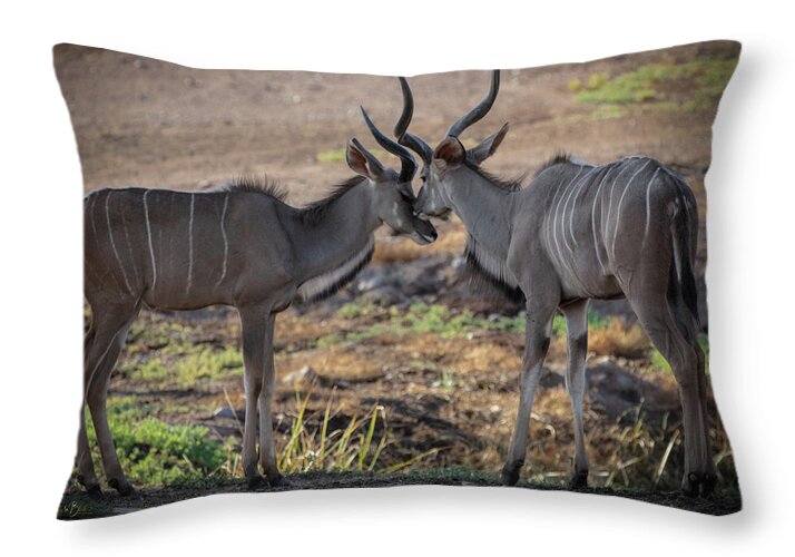 Love You, Too - Throw Pillow