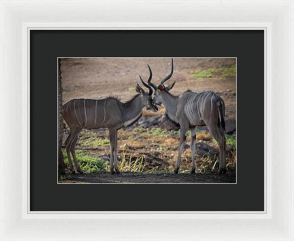 Love You, Too - Framed Print