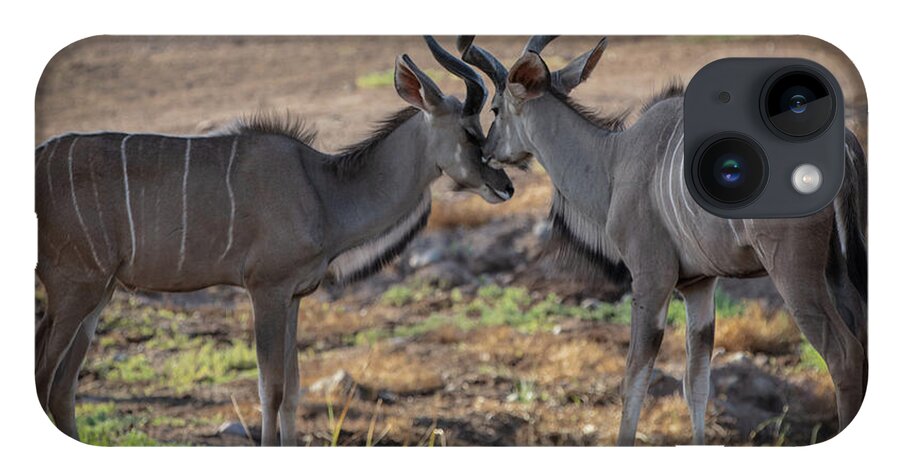 Love You, Too - Phone Case