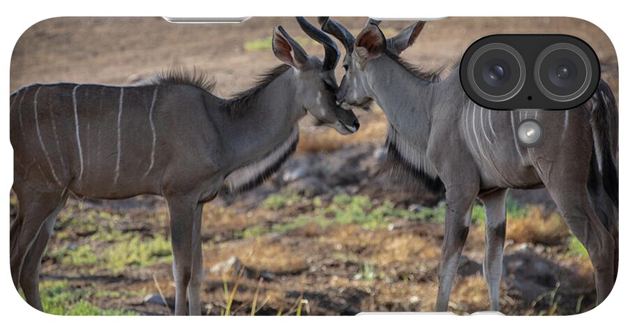 Love You, Too - Phone Case