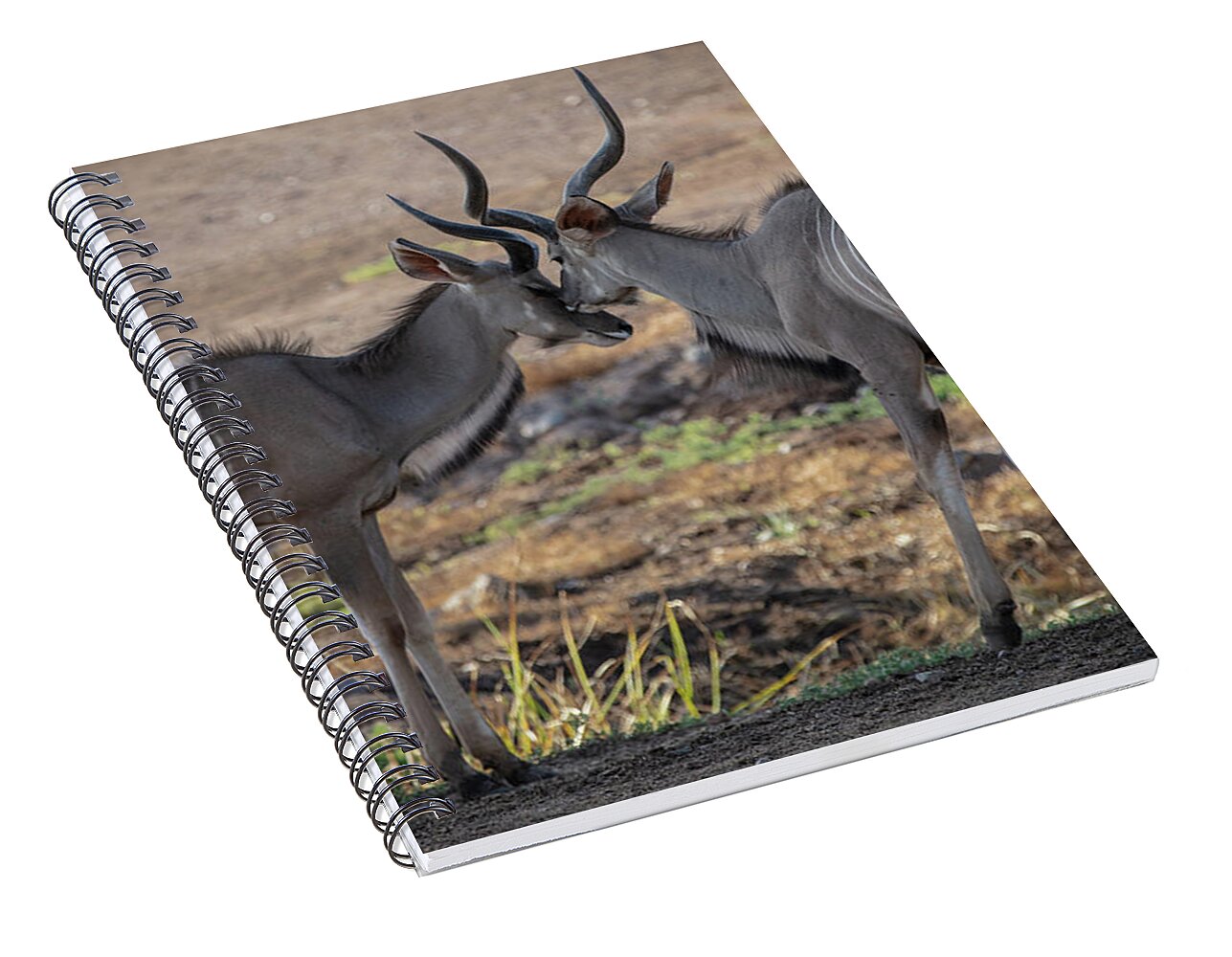 Love You, Too - Spiral Notebook