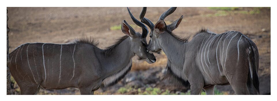Love You, Too - Yoga Mat