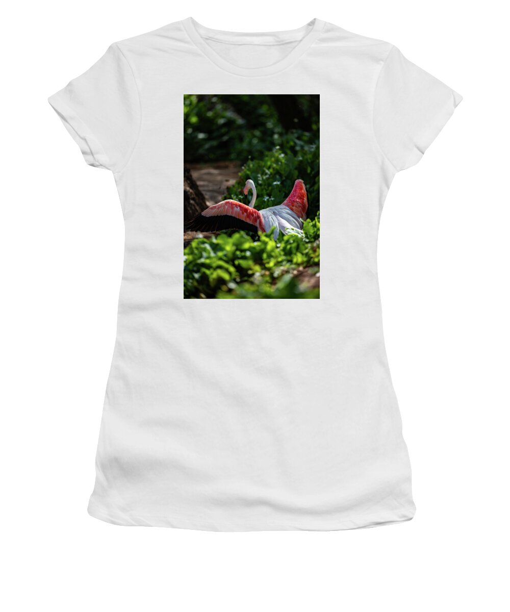 Reverse Fly Flamingo - Women's T-Shirt