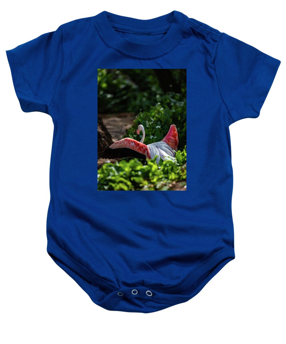 Reverse Fly Flamingo - Baby Onesie