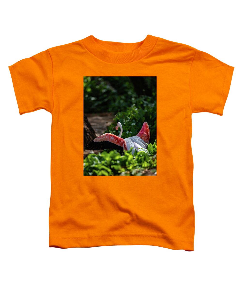 Reverse Fly Flamingo - Toddler T-Shirt