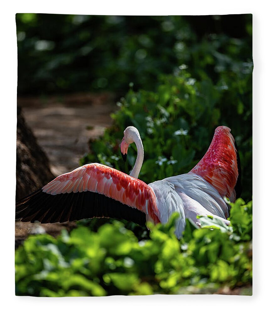 Reverse Fly Flamingo - Blanket