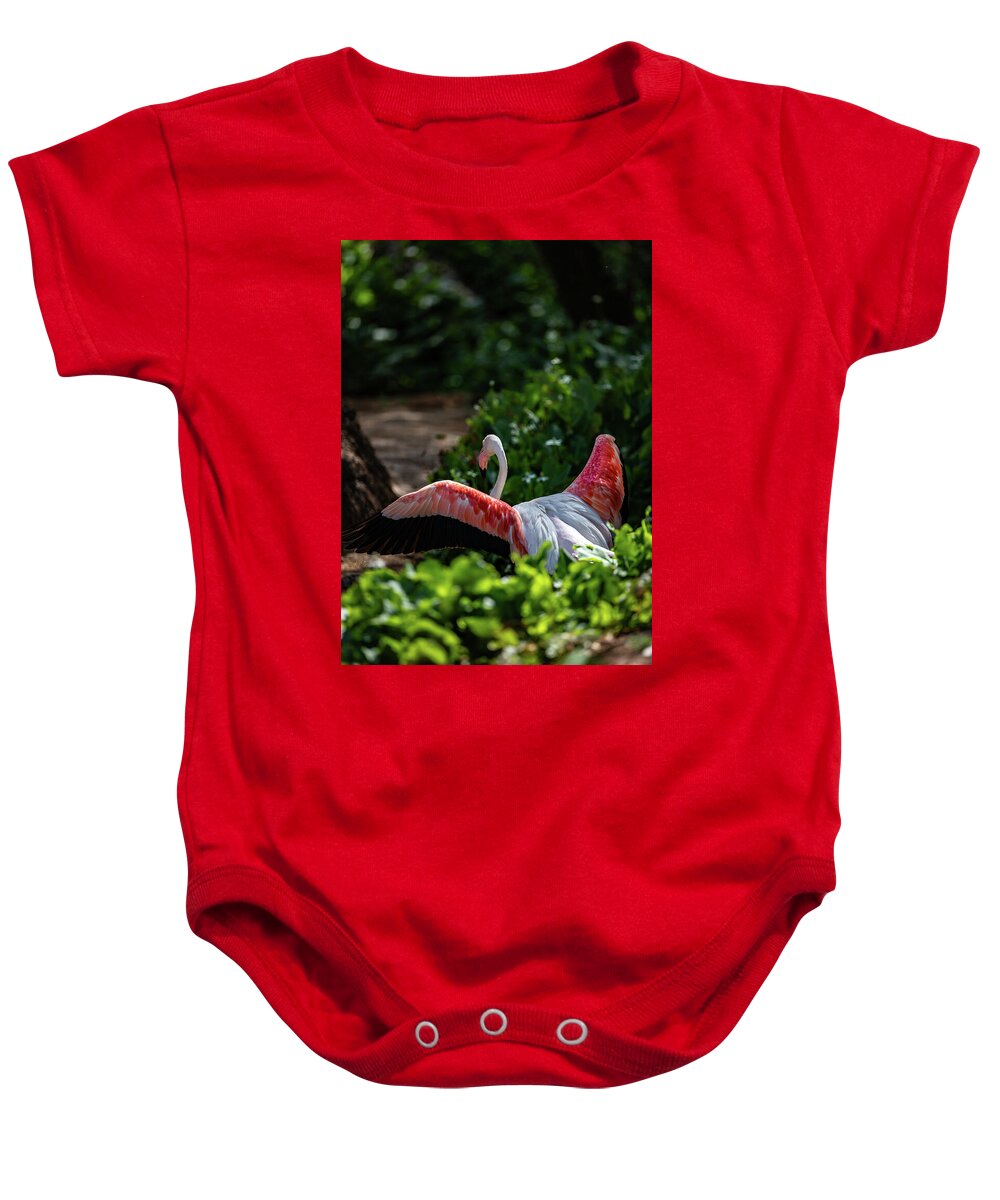 Reverse Fly Flamingo - Baby Onesie