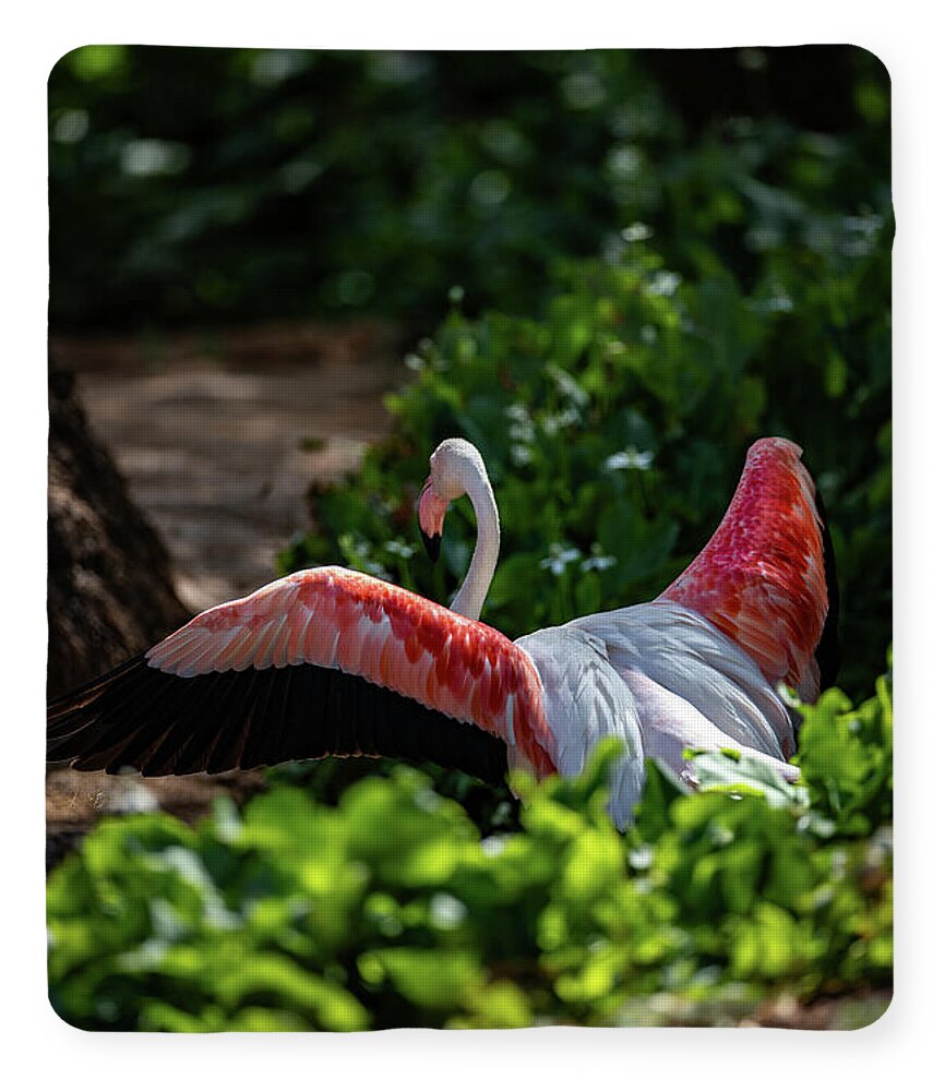 Reverse Fly Flamingo - Blanket