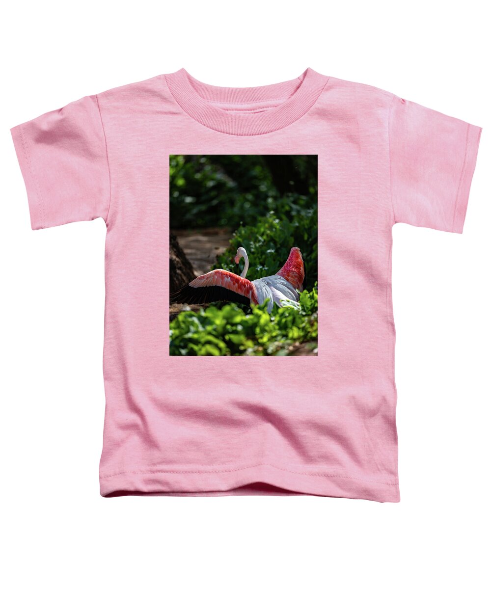 Reverse Fly Flamingo - Toddler T-Shirt