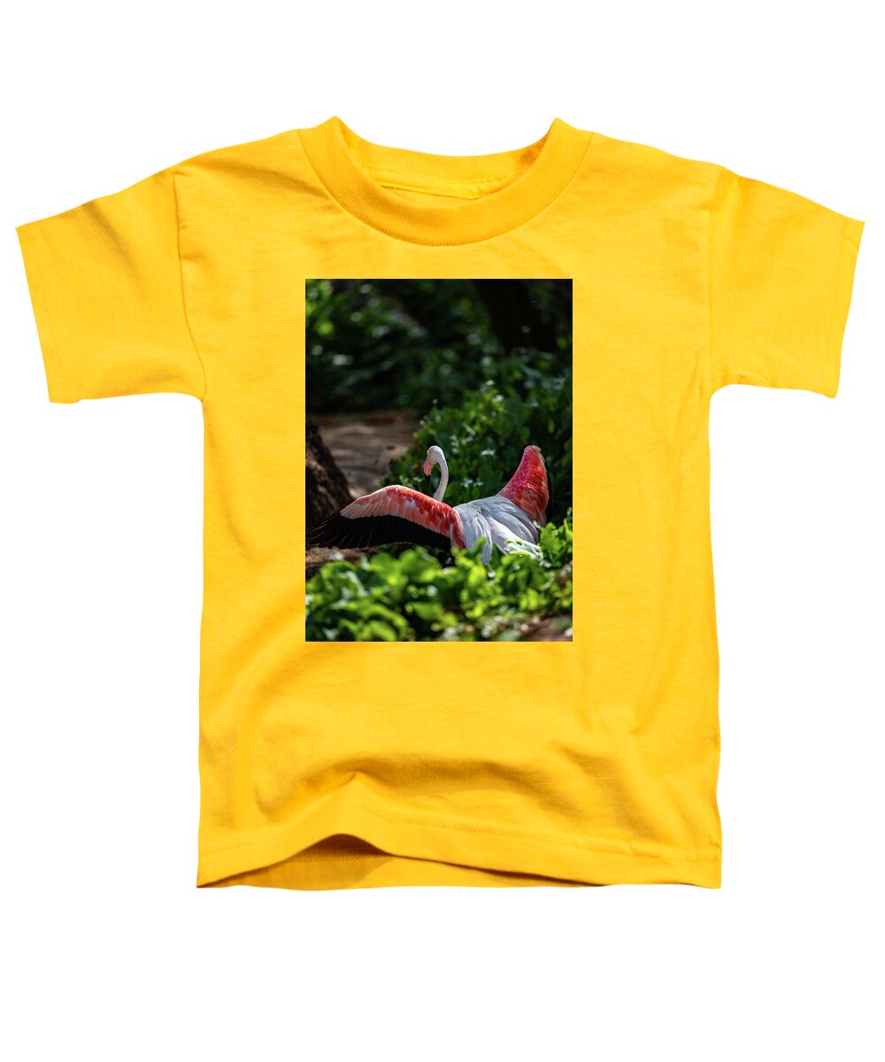 Reverse Fly Flamingo - Toddler T-Shirt