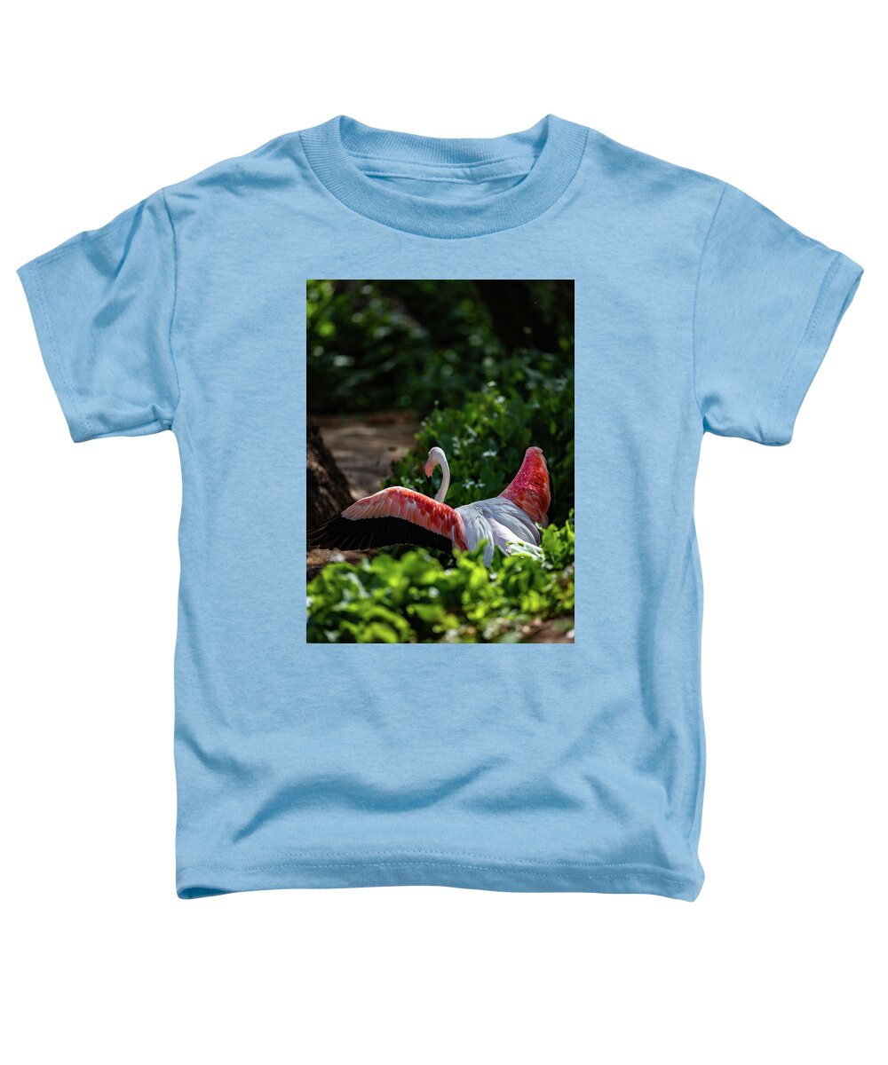 Reverse Fly Flamingo - Toddler T-Shirt