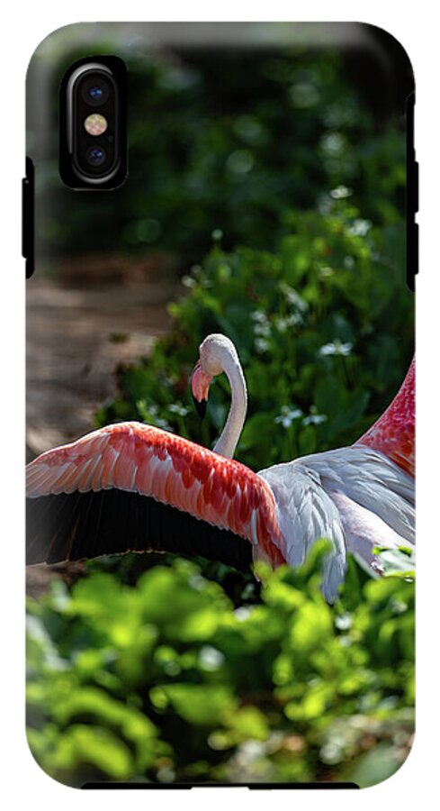 Reverse Fly Flamingo - Phone Case