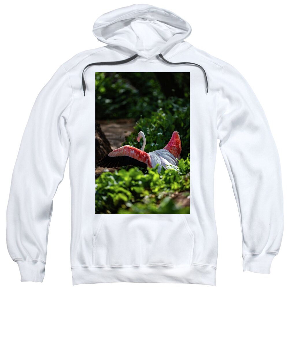 Reverse Fly Flamingo - Sweatshirt