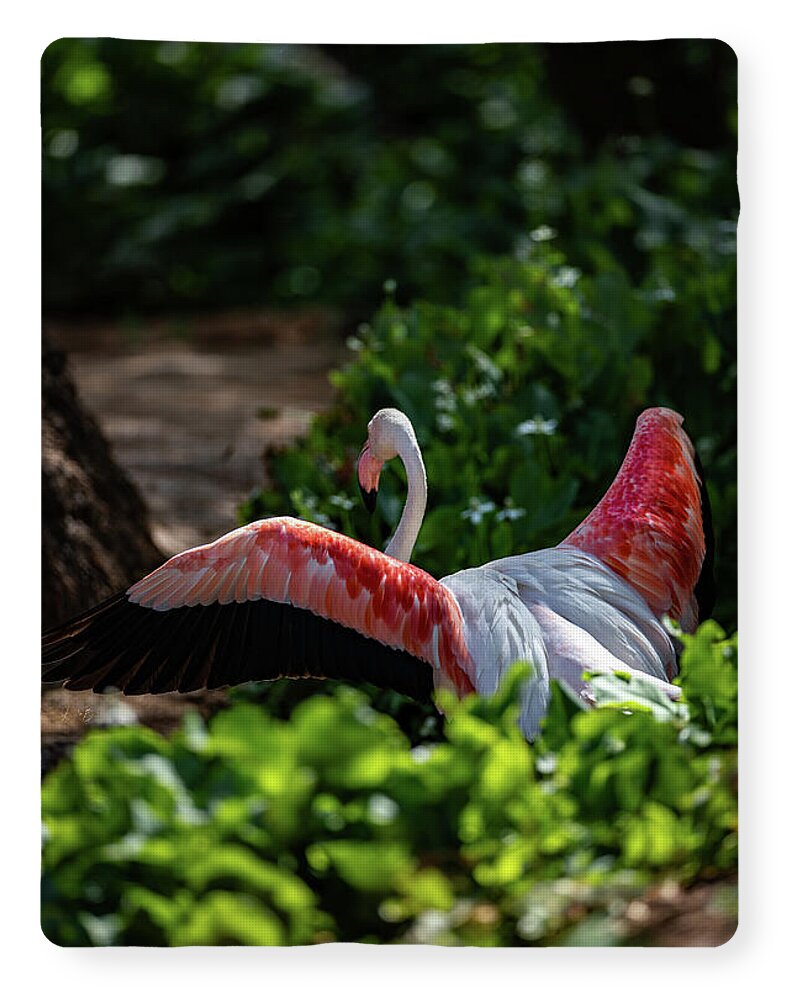 Reverse Fly Flamingo - Blanket
