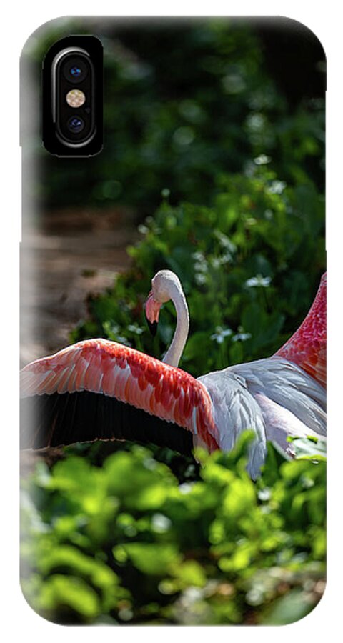 Reverse Fly Flamingo - Phone Case