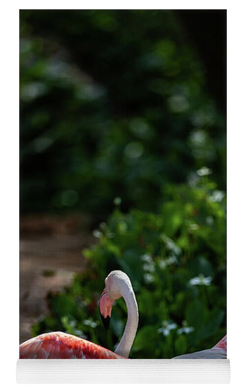 Reverse Fly Flamingo - Yoga Mat