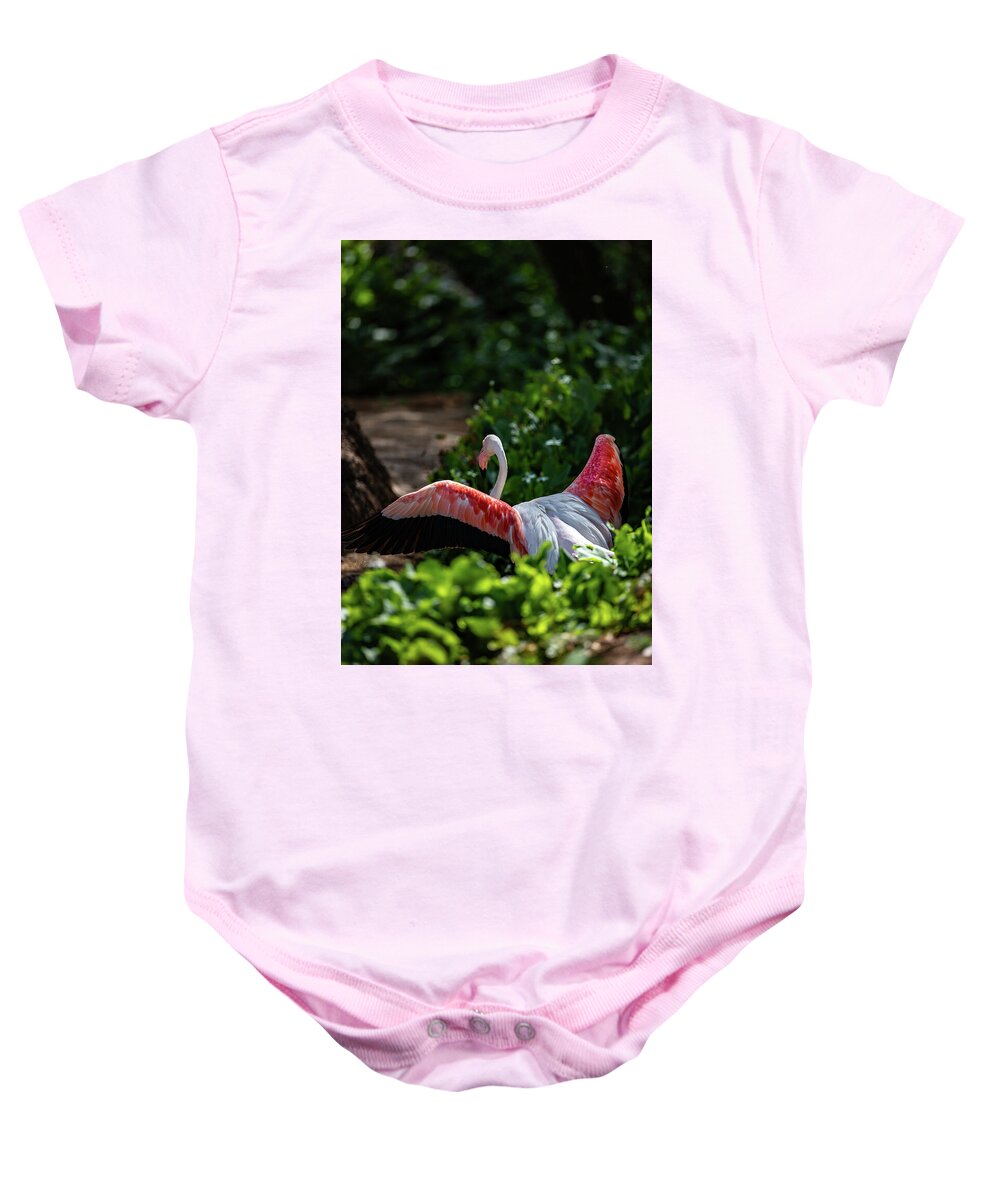 Reverse Fly Flamingo - Baby Onesie