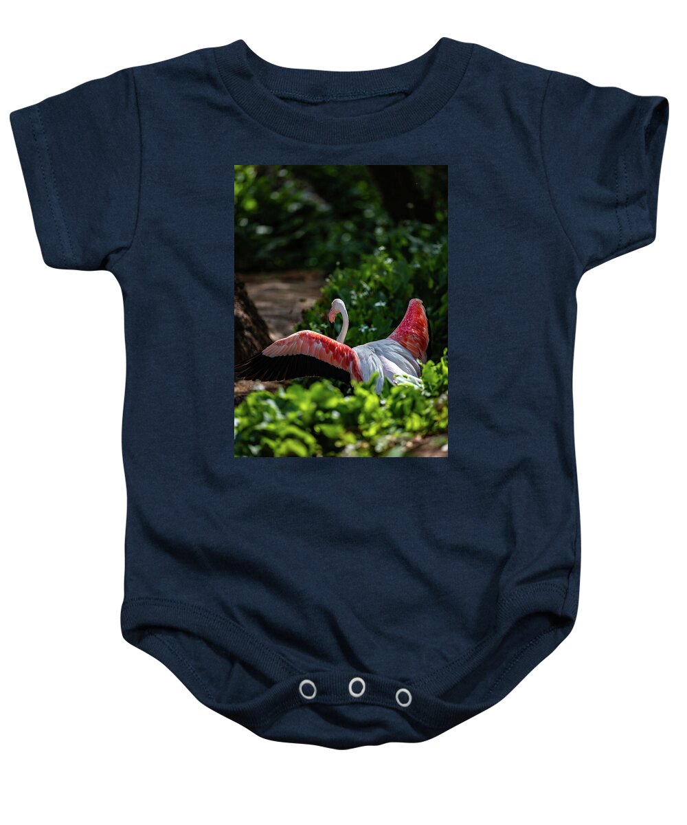 Reverse Fly Flamingo - Baby Onesie