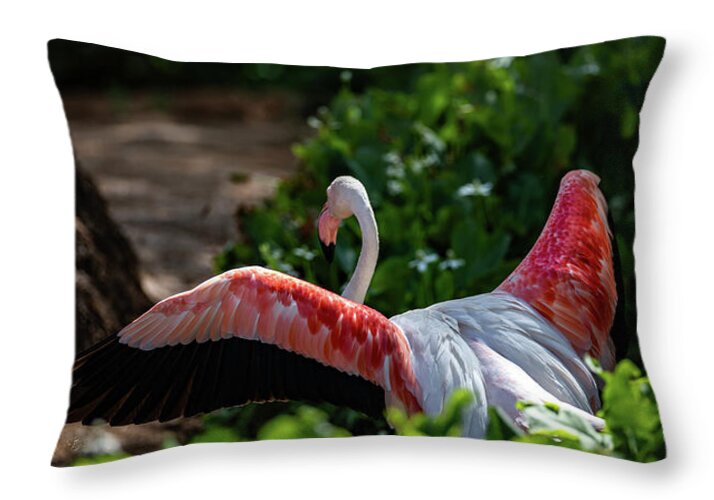 Reverse Fly Flamingo - Throw Pillow