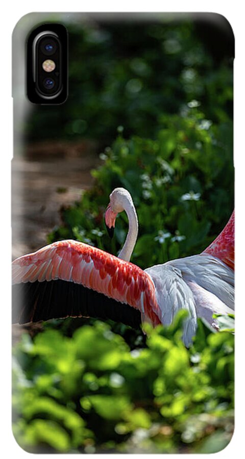 Reverse Fly Flamingo - Phone Case