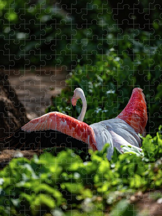 Reverse Fly Flamingo - Puzzle