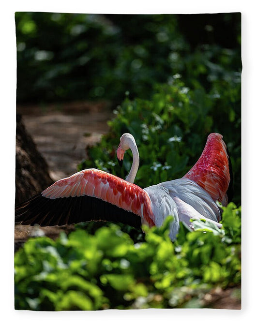 Reverse Fly Flamingo - Blanket
