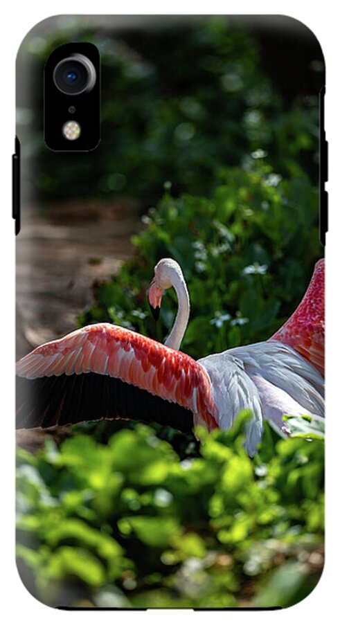 Reverse Fly Flamingo - Phone Case