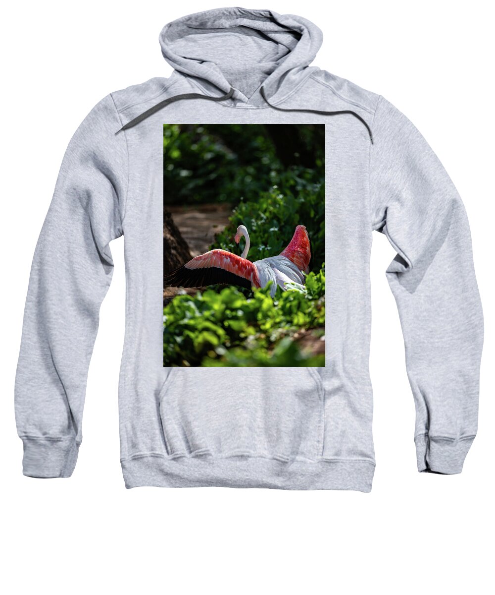 Reverse Fly Flamingo - Sweatshirt