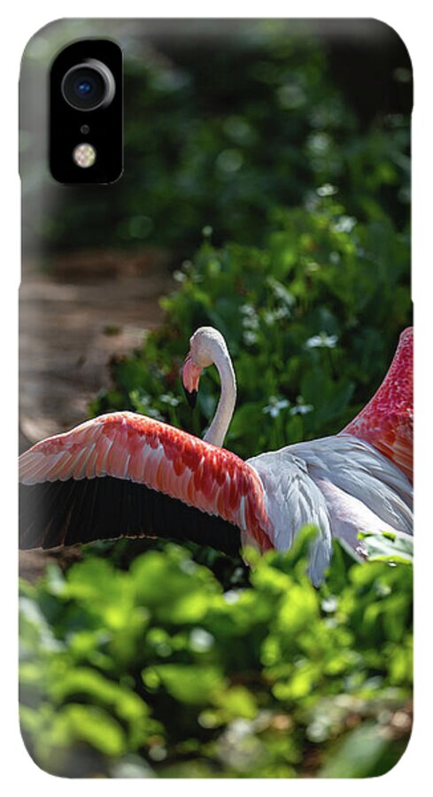 Reverse Fly Flamingo - Phone Case