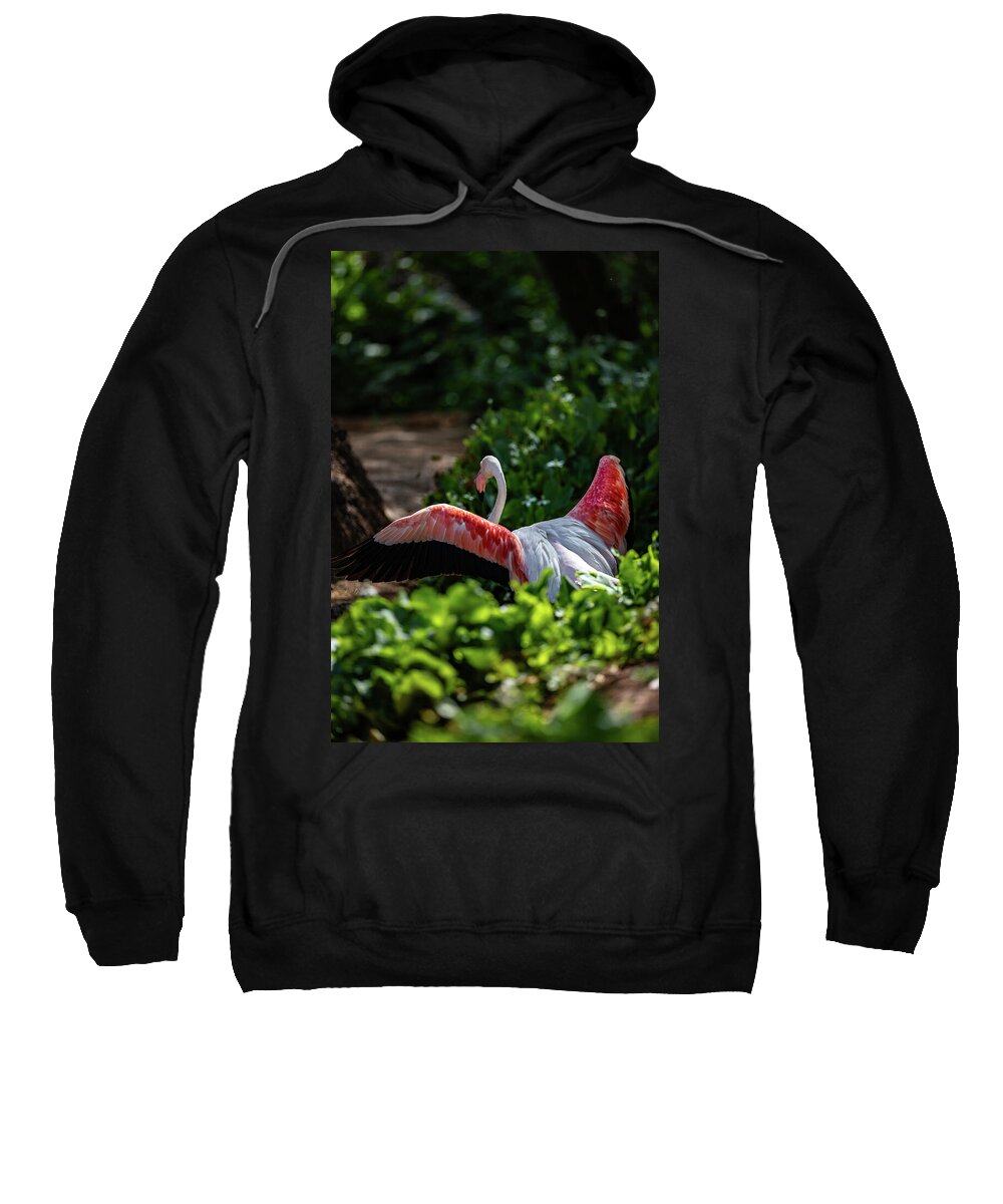 Reverse Fly Flamingo - Sweatshirt